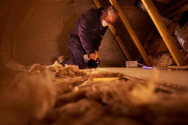Best Insulation Installation Services in Elk Creek, KY